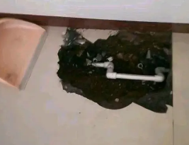 普陀卫生间测漏水多少钱